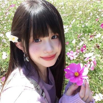 狮子彻夜未眠